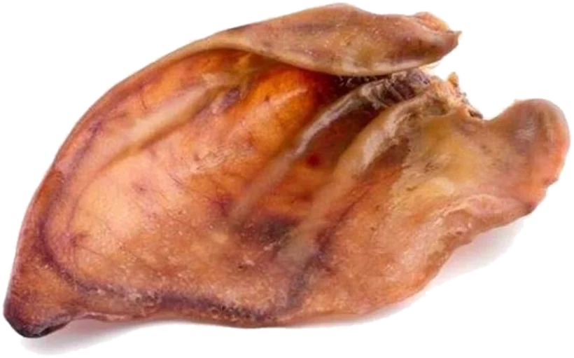 Ucho wieprzowe